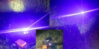 #VIDEO || El láser cazamosquitos que todos necesitamos este verano