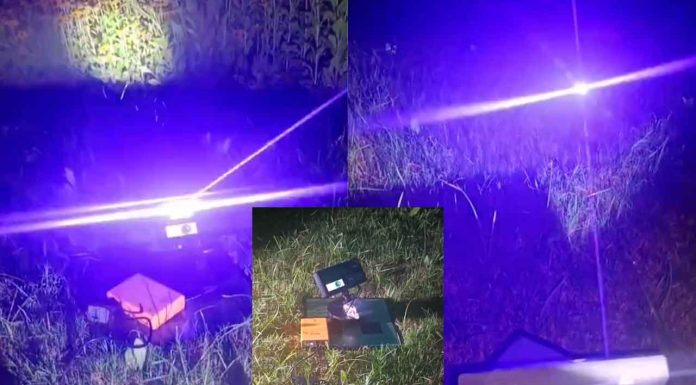 #VIDEO || El láser cazamosquitos que todos necesitamos este verano