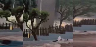 #VIDEO || Dos jóvenes son arrastrados por la corriente en Cuernavaca