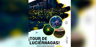 ¡Alístate! Ya iniciaron los recorridos de avistamiento de luciérnagas en la capital michoacana