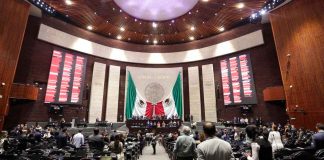 Cámara de Diputados aprobó minuta que prohíbe uso de ejemplares mamíferos marinos para aprovechamiento extractivo, ya sea de subsistencia o comercial