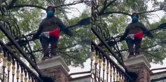 #Video | Madre exige justicia por agresión a su hija en Chimalhuacán en 2019