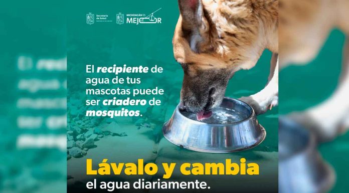 SSM te dice cómo combatir el dengue en casa: lava, tapa, voltea y tira