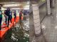 #VIDEO || Metro inundado: Tokio vs CDMX, dos realidades contrastantes