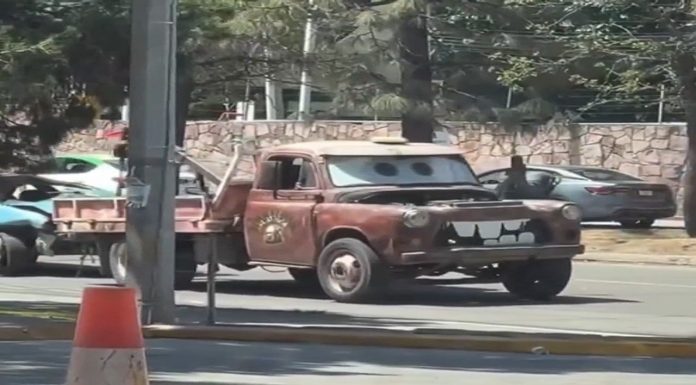 #VIDEO || ¡Mate se pierde en Durango y conquista corazones!