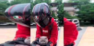 #VIDEO || Michi biker se roba todas las miradas