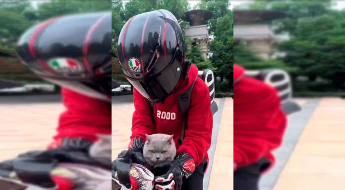 #VIDEO || Michi biker se roba todas las miradas