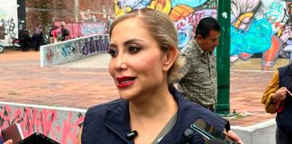 Persiste problema de perros y gatos en situación de calle en la capital michoacana