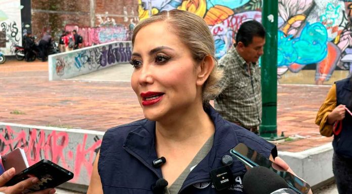 Persiste problema de perros y gatos en situación de calle en la capital michoacana