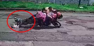 #VIDEO || accidente en moto con 6 personas a bordo, cuatro eran menores de edad