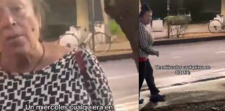 #VIDEO | De gatitos y gritos: Una mujer termino insultada solamente por grabar una gatita