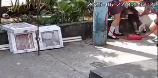 #VIDEO || Pitbull ataca a niña cerca de su escuela y genera fuerte debate en redes