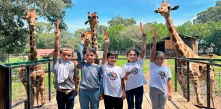 #VIDEO || Disfruta un verano de aventura en el Zoológico de Morelia