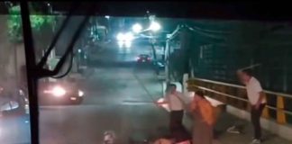 #VIDEO || Ataque de perros en Coyotepec evidencia la crisis del abandono animal en México