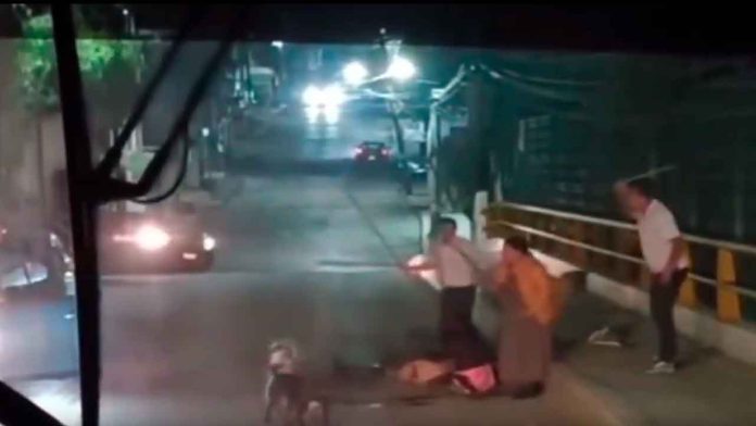 par-de-perros-atacan-en-coyoacan