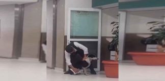 #VIDEO || Pequeño gesto, gran corazón: un perrito encuentra refugio en la Clínica 1 del IMSS en Pachuca 🐶💛