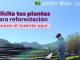¡Atención! 20 de junio último día para solicitar plantas para reforestación