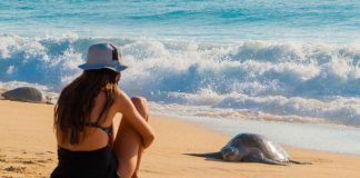 Bosques, pueblos mágicos, playas y gastronomía te esperan en Michoacán: Sectur