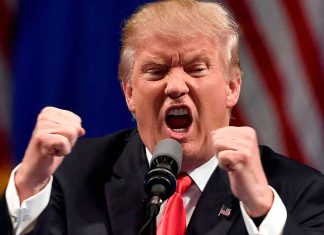 #VIDEO | Trump cuestiona violaciones al alto el fuego en Medio Oriente