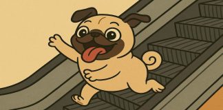 #VIDEO || Un perrito en Colombia descubre las escaleras eléctricas y las convierte en su atracción favorita