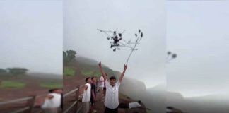 #VIDEO || Un truco del aire: ramas flotan como por arte de magia y regresan