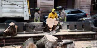 Hasta 80 mil pesos podría costar reparación de banca en plaza de Armas