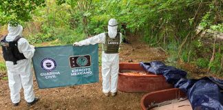 Más de 470 kg de droga asegurada en el mes de mayo: SSP