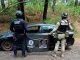 SSP y Defensa detienen a 4 hombres con armas largas, municiones y vehículos en Apatzingán