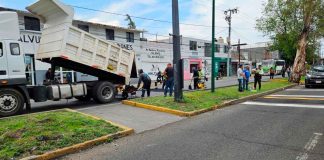 #Imágenes | Gobierno de Morelia mejora movilidad peatonal en avenida Madero Poniente, en beneficio de la ciudadanía