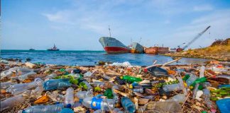 En México se producen diariamente 15 mil toneladas de plásticos, 80% de ellos dan al mar