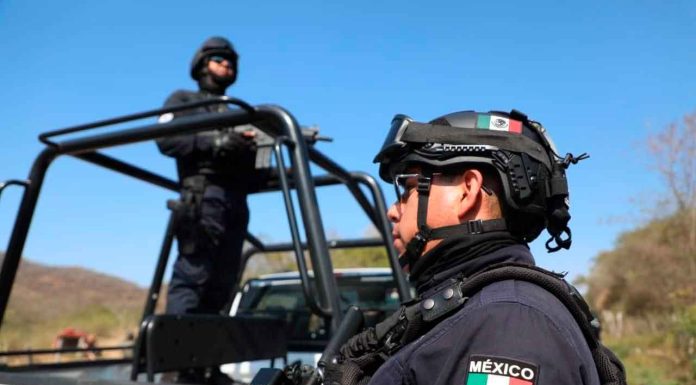 Detenido presunto multihomicida relacionado con 5 crímenes en Zamora