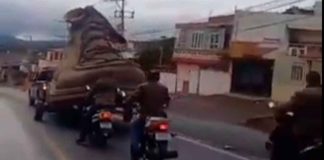 #Video | Zapateros de Purépero buscan Récord Guinness con el zapato más grande del mundo