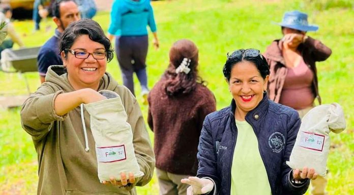 Nueva Ingeniería en Agronomía amplía oferta académica en Meseta Purépecha: Iemsysem