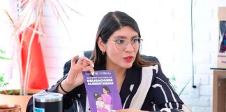 Atención Villas del Pedregal, conoce cómo registrar a un deudor alimentario: Seimujer