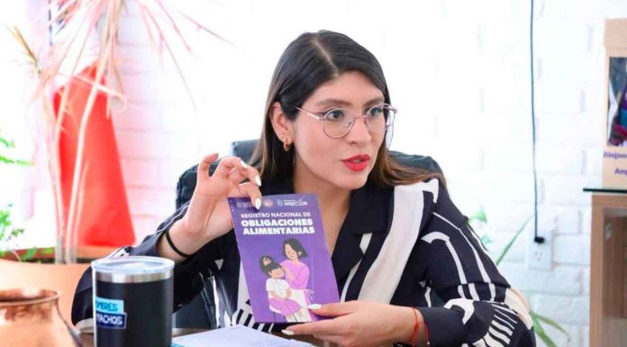 Atención Villas del Pedregal, conoce cómo registrar a un deudor alimentario: Seimujer