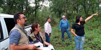 Proam verifica reparación de daños ambientales en Uruapan y Morelia