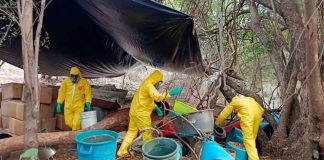 Desmantelados 13 laboratorios clandestinos en lo que va del 2025: SSP