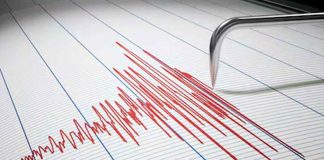 #Video | Temblor de magnitud 4.0 golpea a Oaxaca en esta madrugada