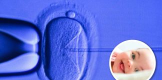 ¿Nace la era de los ‘superbebés’? Una startup recauda fondos para editar genes humanos