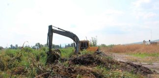 Impulso a la sostenibilidad en Tanhuato: Desazolvan el río de las nutrias