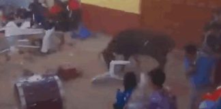 #VIDEO | Toro escapa durante celebración religiosa y deja 30 heridos