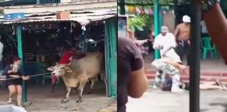 #VIDEO || Mujer pierde la vida tras ser corneada por un toro durante fiesta tradicional