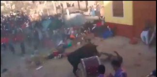 #VIDEO || Toro escapa durante festividad en Ayacucho y deja 30 heridos, seis de gravedad