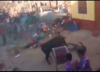 #VIDEO || Toro escapa durante festividad en Ayacucho y deja 30 heridos, seis de gravedad