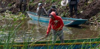 Avanza recuperación del canal de Erongarícuaro con trabajo de manos michoacanas