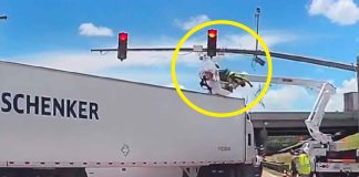 #VIDEO | Un obrero sobrevivió al impacto de un tráiler mientras trabajaba en lo alto arreglando un semáforo