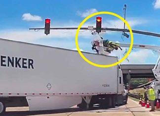 #VIDEO | Un obrero sobrevivió al impacto de un tráiler mientras trabajaba en lo alto arreglando un semáforo