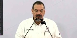 Para este 2025, 10 millones de plantas para reforestación en el estado: Alejandro Méndez López