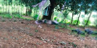 #VIDEO || Cherán no se rinde Ronda Comunitaria enfrenta al CJNG; Saldo preliminar dos personas fallecidas