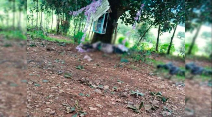 #VIDEO || Cherán no se rinde Ronda Comunitaria enfrenta al CJNG; Saldo preliminar dos personas fallecidas